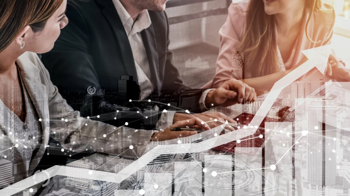 raportować w standardzie vsme? Tak czy nie?