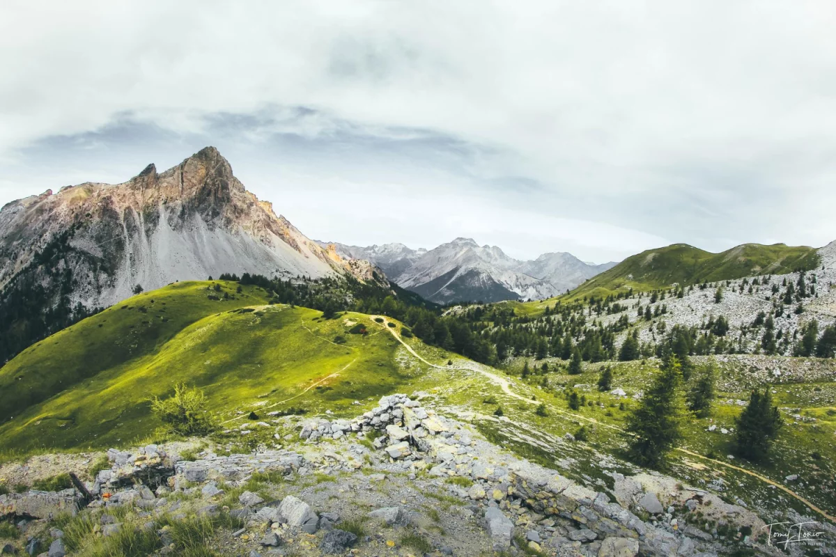 Czy można budować dom w niedzielę handlową?
