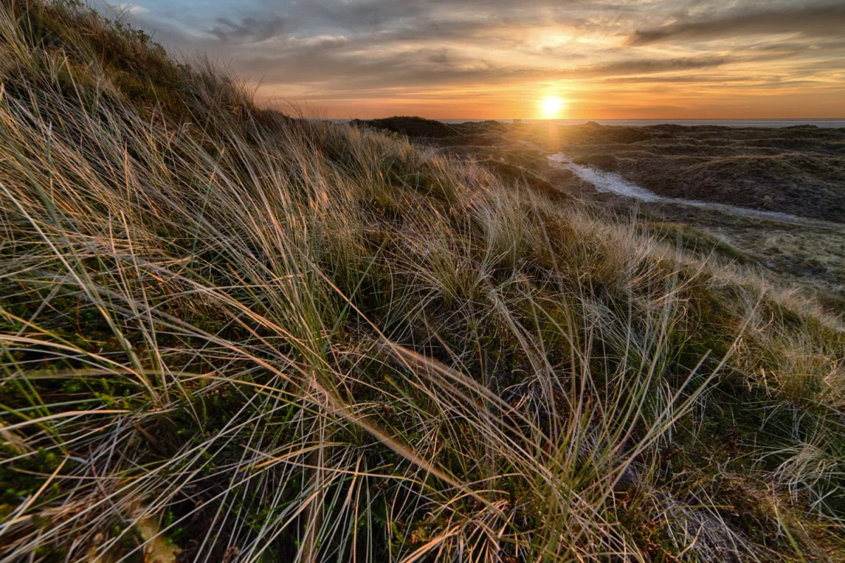Czy można wykonać odbiór elektroodpadów w Białymstoku samemu?