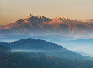 wyposażyć mieszkanie? Jak ekspert!